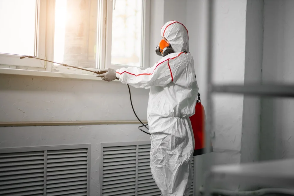 Professional mold remediation services in Weyauwega, WI
